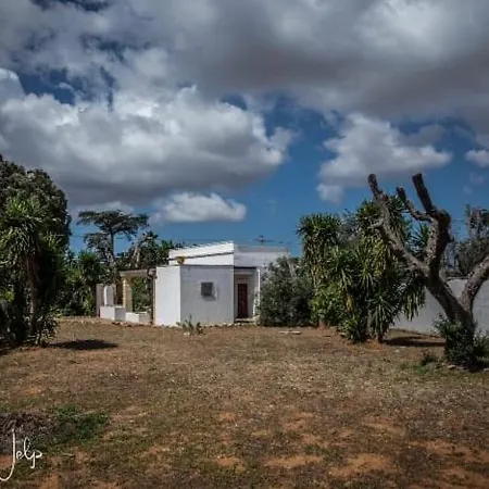 Casa Olga ماتينو